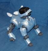 AIBO